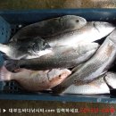 대부도바다낚시터 이미지