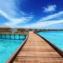 허니문파크 이미지