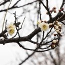 김해건설공업고등학교 이미지