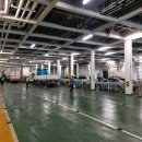 오션 비스타 제주호 이미지