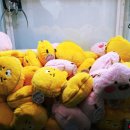 로이드안양점 이미지