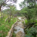 () 한여름에 즐긴 서울 도심 산책 ~~~ 백사실계곡, 부암동, 인왕산 수성동계곡 (인왕산길) 이미지
