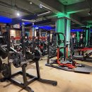 휘트니스링크 이미지