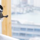 호림치과의원 이미지