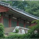 순천-56호 이미지