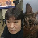 행복한일상 이미지