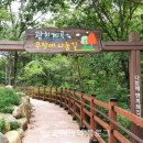 멍베스트 이미지