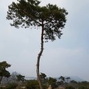 금마조경 이미지