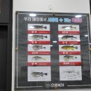 으뜸복어 이미지