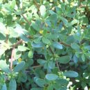 복만농장 이미지