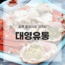 대영유통 | 강릉 주문진 중앙시장 대게 맛집 &#39;대영유통&#39; 솔직 후기