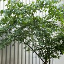 안중산부인과의원 이미지