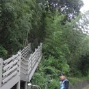 쏠라코리아 이미지