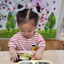 아람김밥 이미지