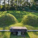 함평이씨 포장공 묘역 및 석물 이미지