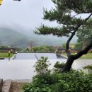 민들레울 이미지