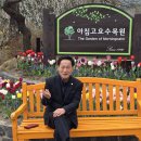 자연을담다 Daum카페