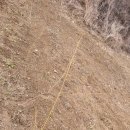 계촌 농장 이미지