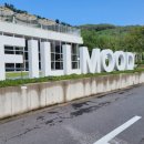 캠프예그리나 이미지