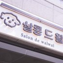 기장애견 이미지