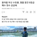 올여름 부산 수돗물, 열흘 동안 6등급 폐수 원수 공급 이미지