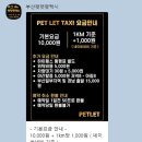 부산펫렛펫택시 네이버블로그