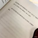 조마루로397번길 전역 | 장마와 함께한 2024년 7월 3-4주차 일상 포토덤프 챌린지