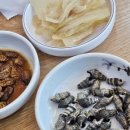 진도포항횟집참치 이미지