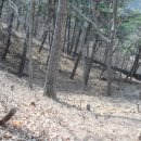 태산농장2 이미지