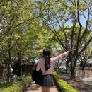 부부카클리닉 | 결혼비용 아끼는 Tip💕 #노마드웨딩카페 #본식아이폰스냅협찬