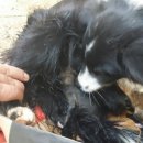 영훈농장 이미지