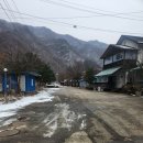 바다향왕코다리 이미지