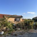 환영2농장 | 오창 데이트 [카페 유송블루베리농장] 오창 디저트 오창 카페 추천