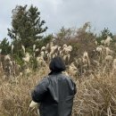 모아프라자 | 제주도 가을 억새 볼만한 장소를 모아모아!(닭머르해안, 산굼부리, 금오름, 백약이오름, 유채꽃프라자...