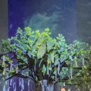 오페라 해녀수덕 이미지