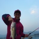 더마니주유소 이미지