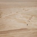 염리피기뱅크영어학원 | 아현역 영어학원 인기순위와 추천 이유