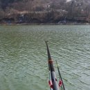 월곡 낚시터 이미지