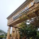 윙고(WINGO) | 홍천 오션월드 오픈런 내돈내산 후기 | 주차 꿀팁부터 식사, 디저트까지 알차게 즐긴 하루