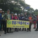 땅끝홍삼