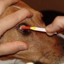 강앤정 동물병원 이미지