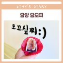 담양카페 담모찌 과일모찌 아이 디저트로 딱