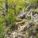 전산옥민박 | 정선 백운산 최단코스, 동강이 보이는 인생샷 꼭 친구랑 갈 것, 주차장 정보