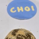 콩이랑 초이랑 이미지