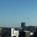 제원목장 | 3박 4일 코스 3일차 / 무상찻집, 우동카덴, 제동목장 포토존(가는법), 제주동화마을(코리코카페, 도토리...