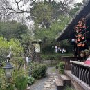 고운님 | 경주 계림 맥문동, 배롱나무꽃, 전통 한옥 찻집 "고운님 오시는길" 방문 후기