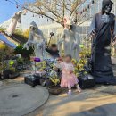 진해만 생태숲 학습관 | 진해보타닉뮤지엄 할로윈 축제 체험기｜포토존·입장료·주차 정보 총정리