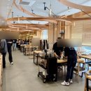 대륭테크노타운 15차 | [인덕원 맛집] 샤브20 안양평촌점 평일 런치 방문 후기, 가쓰오부시 훠궈 조합 추천!