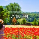 경기도 가평 가볼만한곳 자라섬 입장료 여행 외 4곳