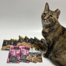 나투어리베 | 레오나르도 순수생육 고양이 사료 후기:생육 85% 사료 토리 반응은?